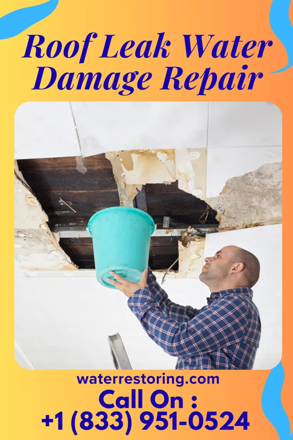 Roof Leak Water Damage Repair in Chisholm, MN